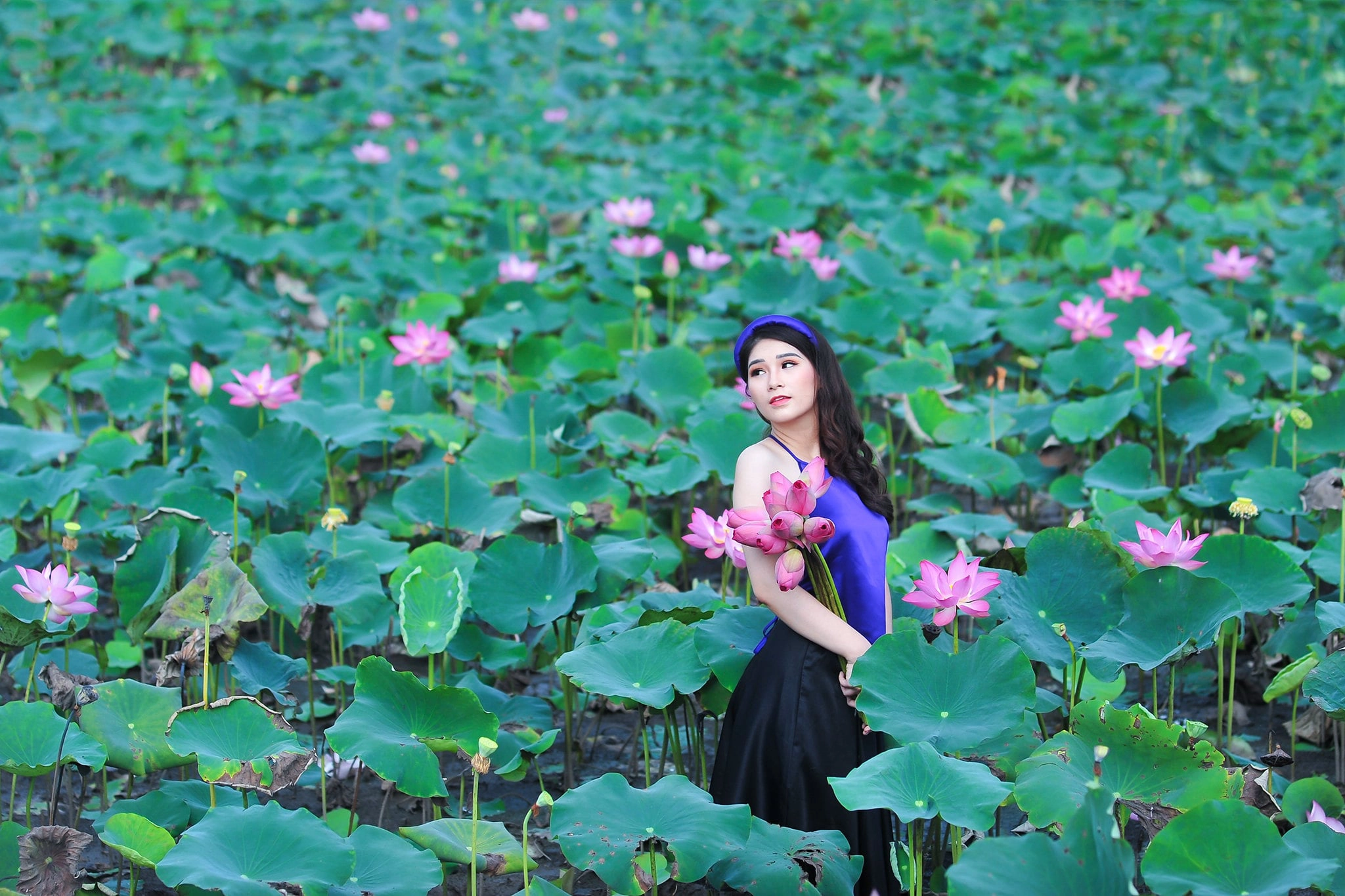 anh sen 9 - 39 cách tạo dáng chụp ảnh với hoa sen tuyệt đẹp - HThao Studio